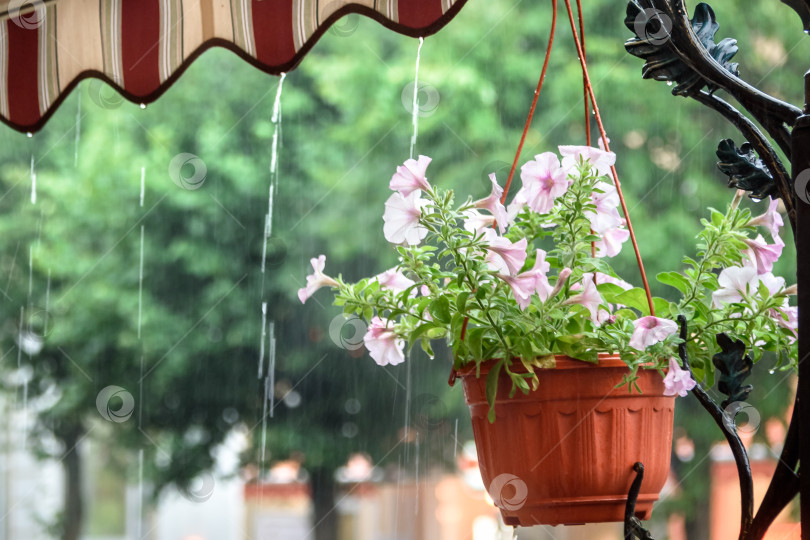 Скачать Дождь капает с крыши летнего кафе фотосток Ozero