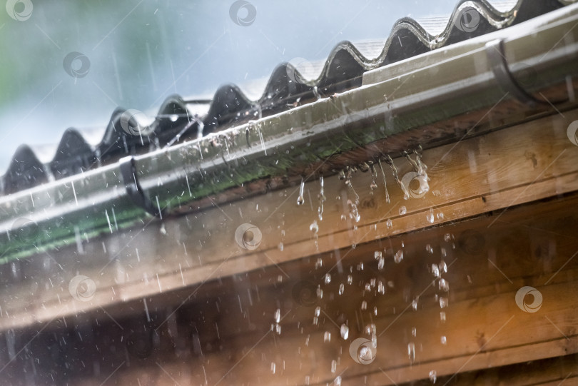 Скачать дождь стекает с крыши вниз, летняя погода фотосток Ozero