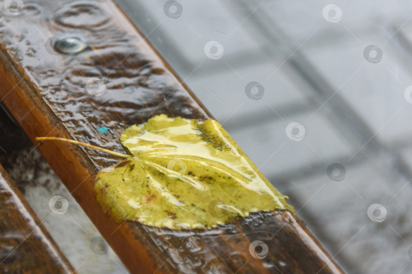 Скачать Дождь, мокрая скамейка и желтый лист - концепция дождливой погоды фотосток Ozero