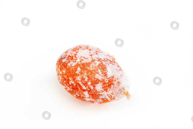 Скачать Сушеный кумкват в сахаре, выделенный на белом фоне фотосток Ozero