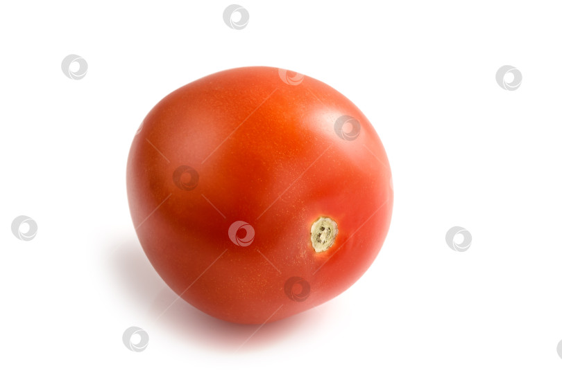 Скачать Красный помидор, выделенный на белом фоне фотосток Ozero