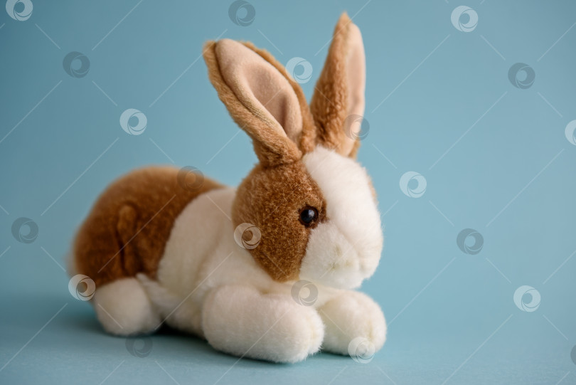 Скачать Мягкая игрушка кролик на синем фоне фотосток Ozero