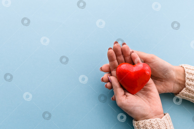 Скачать Красное сердце в женских руках на синем фоне. фотосток Ozero