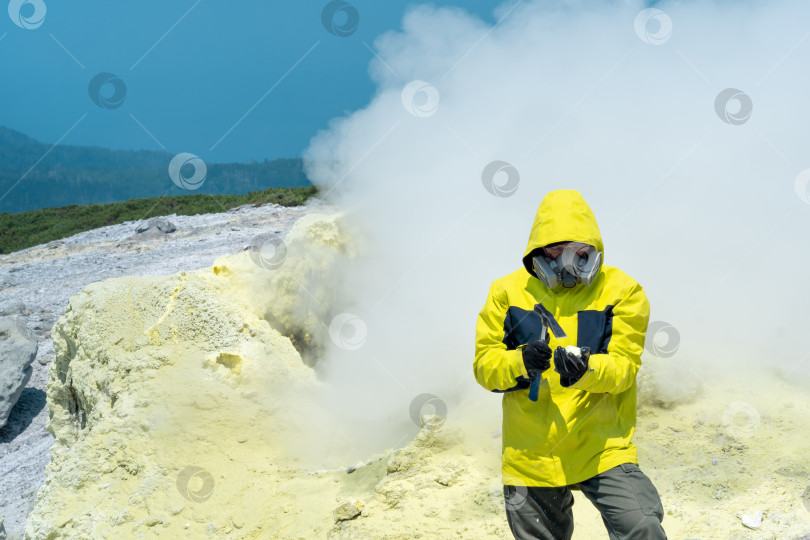 Скачать человек-вулканолог на фоне дымящейся фумаролы исследует образец сернистого минерала геологическим молотком фотосток Ozero