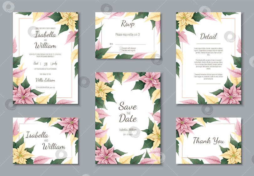 Скачать Набор свадебных приглашений с цветами пуансеттии. Дизайн поздравительной открытки и приглашения на свадьбу, день рождения фотосток Ozero