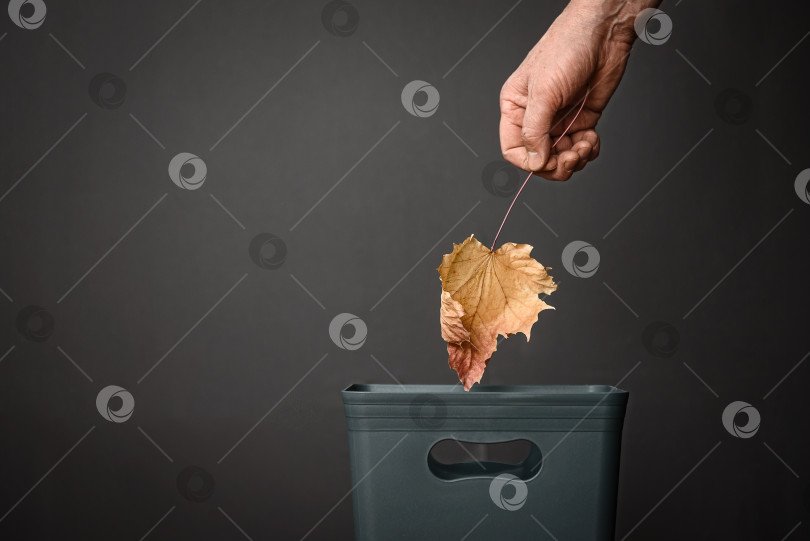 Скачать Рука бросает сухой осенний лист в ведро фотосток Ozero