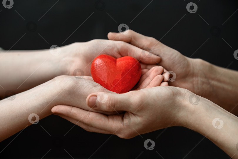 Скачать Красное сердце в руках молодого парня и молодой девушки на темном фоне фотосток Ozero