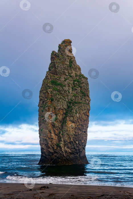 Скачать морской пейзаж Кунашира, океанский берег с огромной вертикальной скалой в воде фотосток Ozero