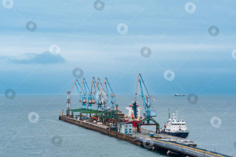 Скачать грузовой причал с портовыми кранами и пришвартованными судами на фоне открытого моря фотосток Ozero