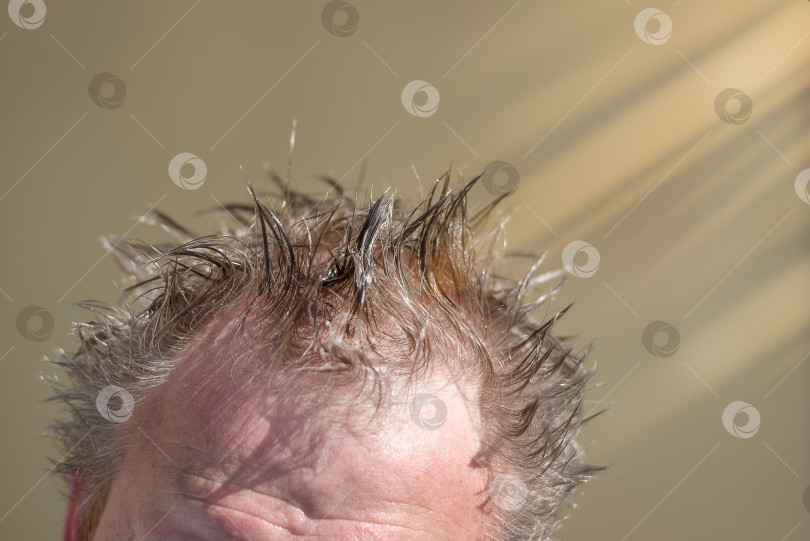 Скачать Крупный план мокрой головы мужчины, солнечный фотосток Ozero