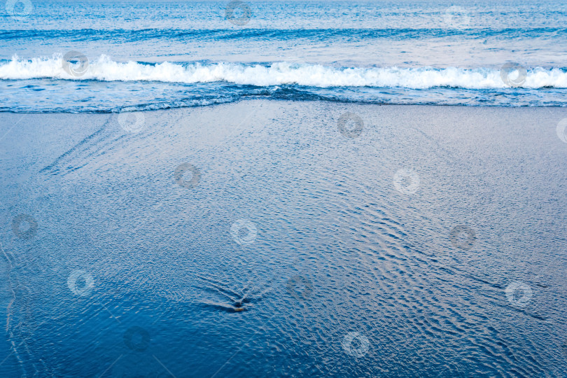 Скачать океанский пляж с набегающей волной, в которой отражается небо фотосток Ozero