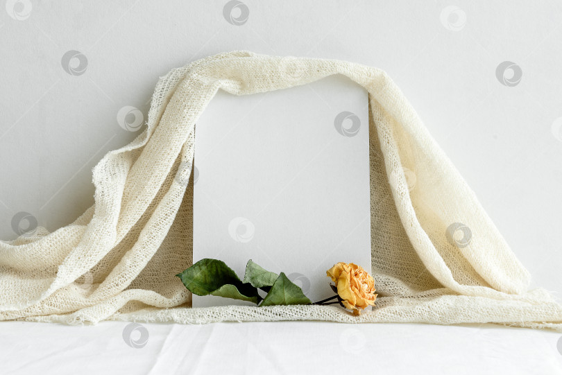 Скачать Пустая белая поздравительная открытка и сухие желтые розы на белом фоне. Романтический фон для приглашения. фотосток Ozero