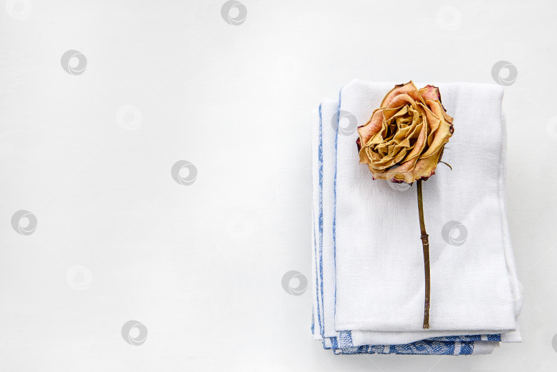 Скачать Модный белый фон с льняными полотенцами и сухими цветами. Домашний уют и дизайн. фотосток Ozero