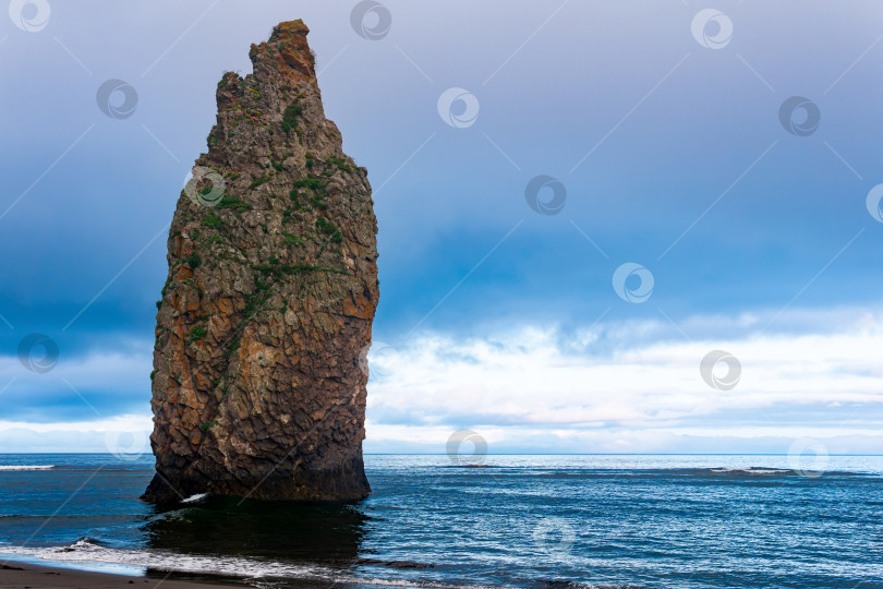 Скачать морской пейзаж Кунашира, океанский берег с огромной вертикальной скалой в воде и дикий пляж с выброшенными морем водорослями фотосток Ozero