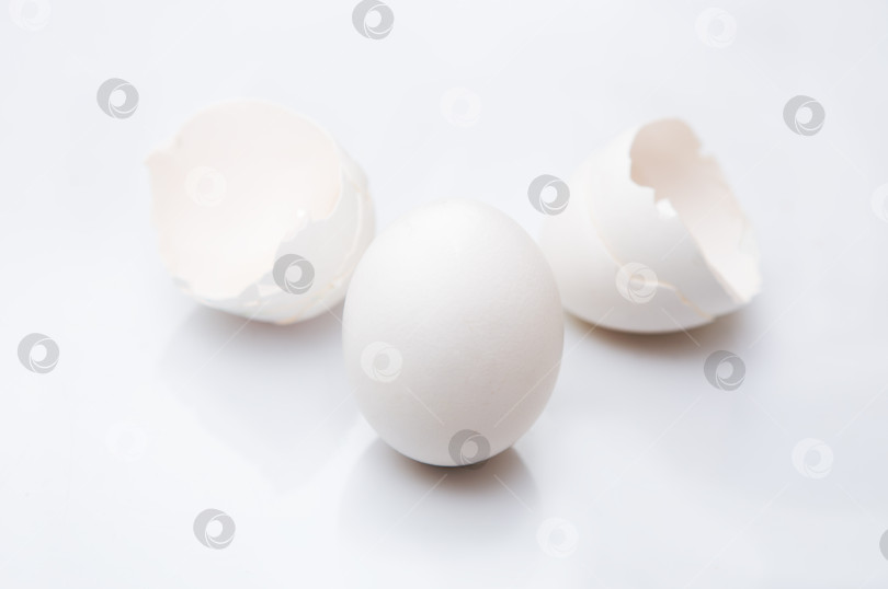 Скачать яйцо и яичная скорлупа фотосток Ozero
