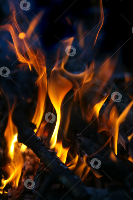 Скачать горящие березовые дрова фотосток Ozero