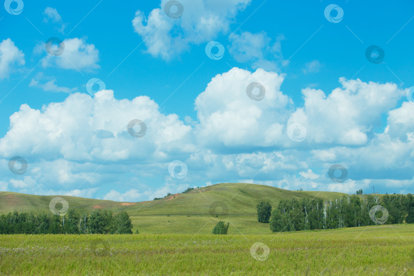 Скачать прекрасный летний пейзаж фотосток Ozero