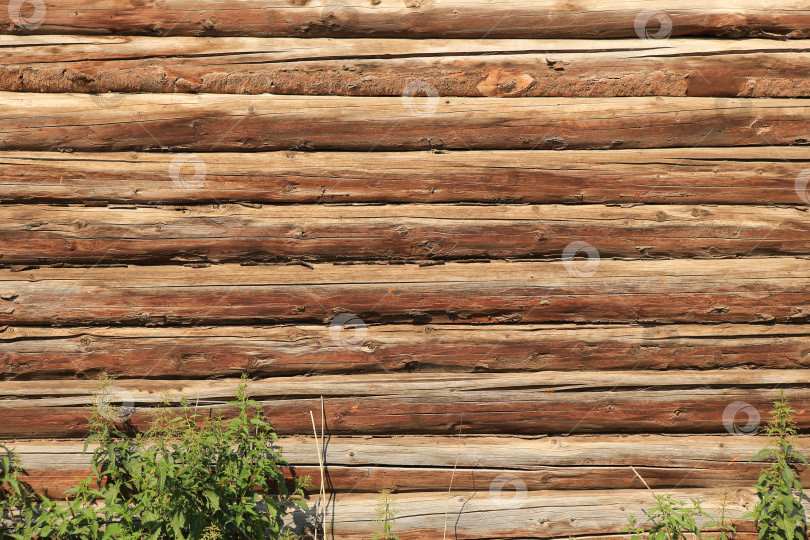 Скачать деревянная бревенчатая стена фотосток Ozero