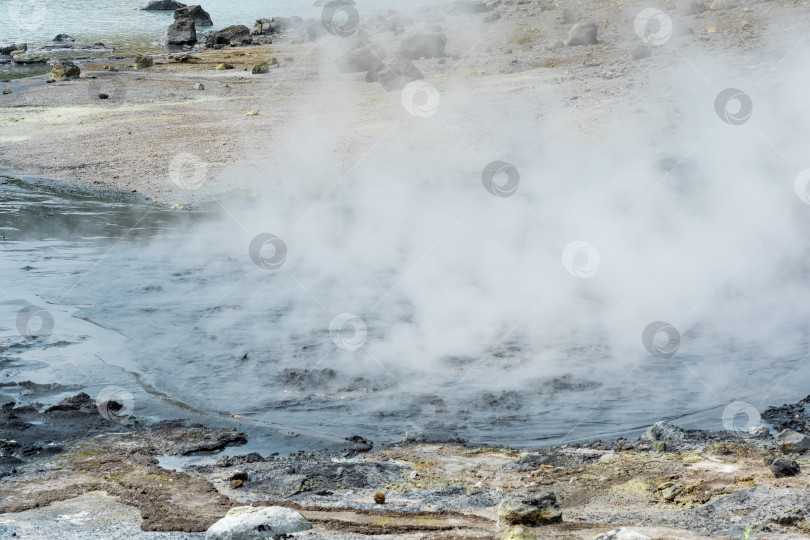 Скачать кипящий и дымящийся гидротермальный выход на берегу горячего озера в кальдере вулкана Головнин на острове Кунашир фотосток Ozero