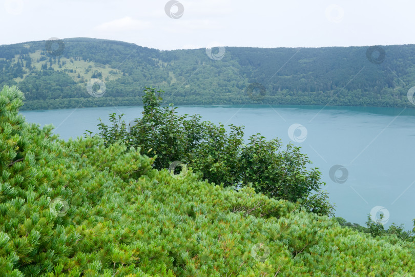 Скачать пейзаж кальдеры вулкана Головнина на острове Кунашир фотосток Ozero