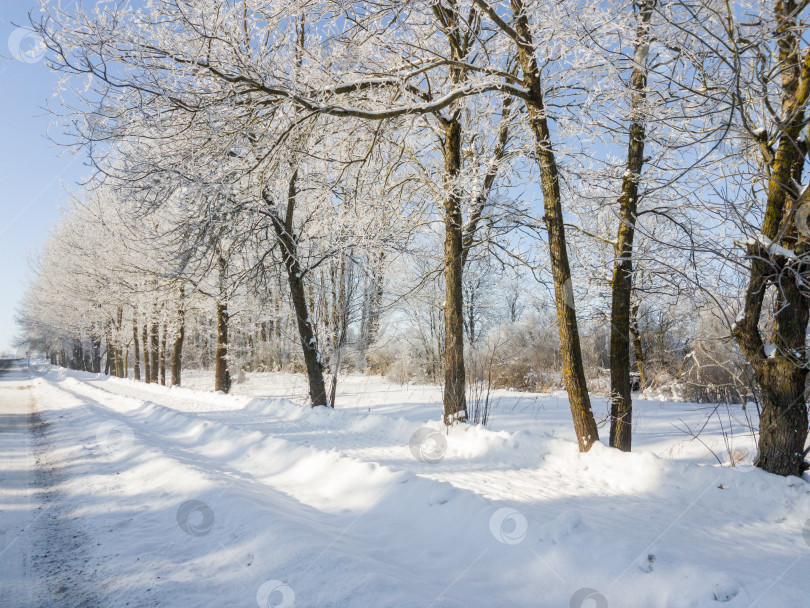 Скачать Красивый зимний пейзаж - деревья в снегу фотосток Ozero