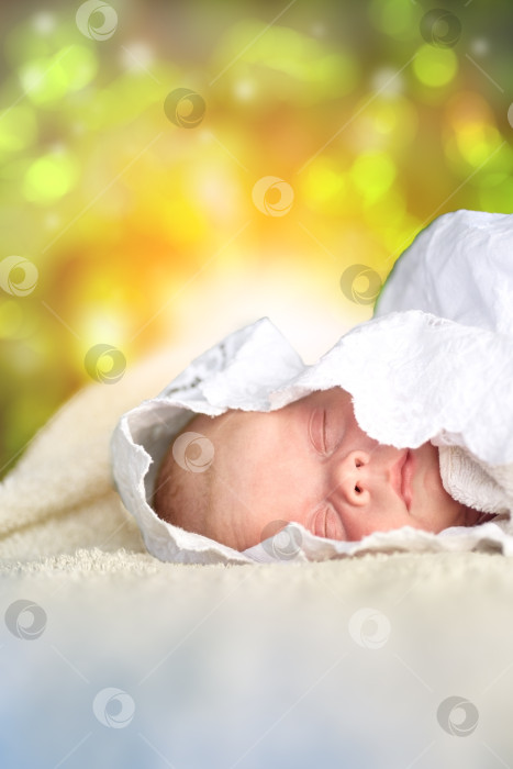 Скачать милый новорожденный младенец, спящий летом во дворе среди зелени фотосток Ozero
