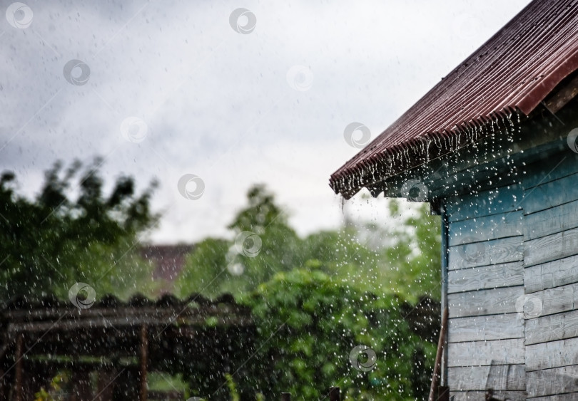 Скачать С крыши капает ливневый дождь фотосток Ozero
