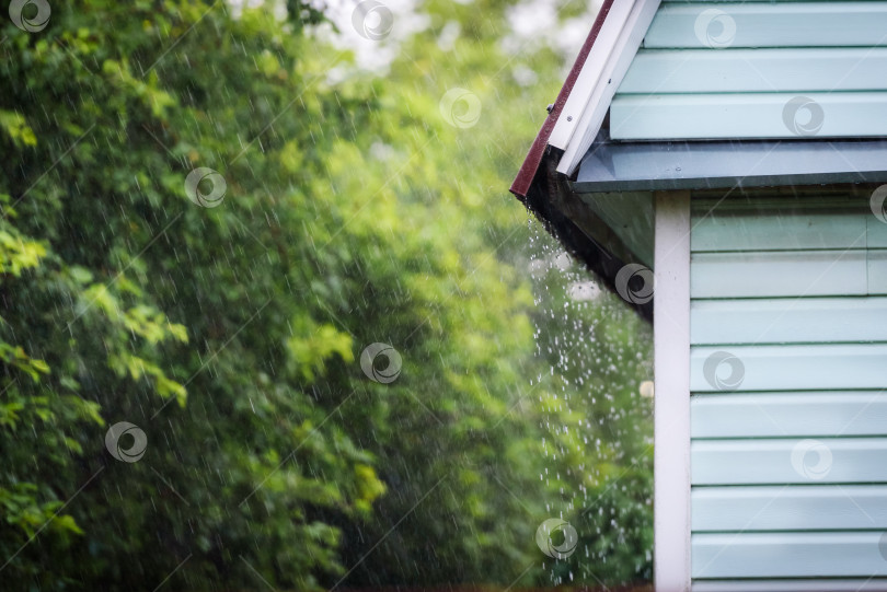 Скачать С крыши капает грозовой дождь фотосток Ozero
