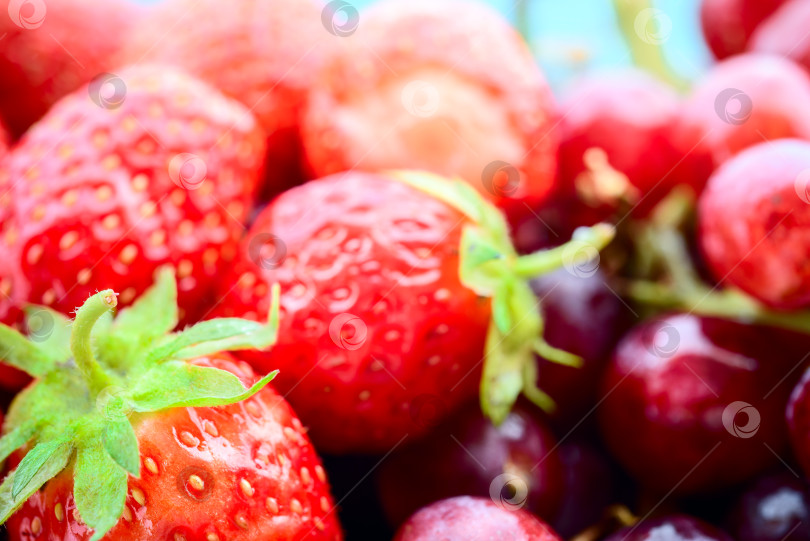 Скачать Клубничные и виноградные ягоды Макро фотосток Ozero
