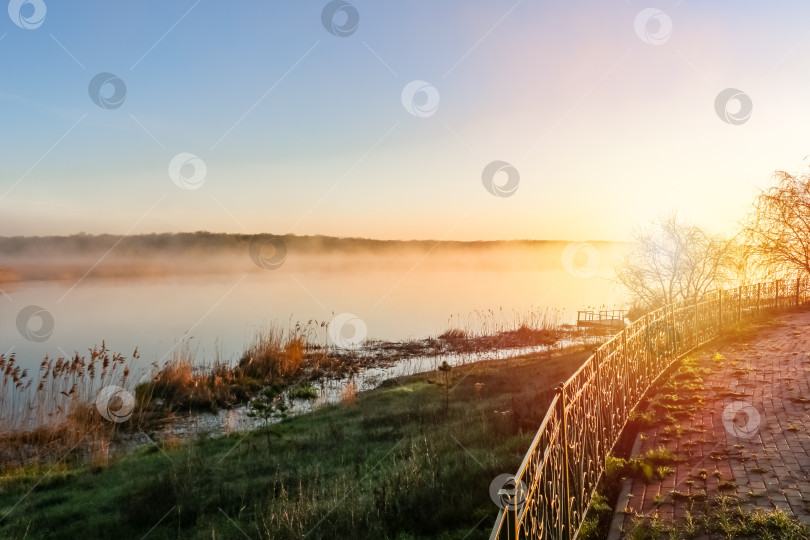 Скачать красивый солнечный пейзаж с рекой, светит солнце фотосток Ozero