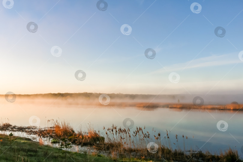 Скачать красивый солнечный пейзаж с рекой, светит солнце фотосток Ozero