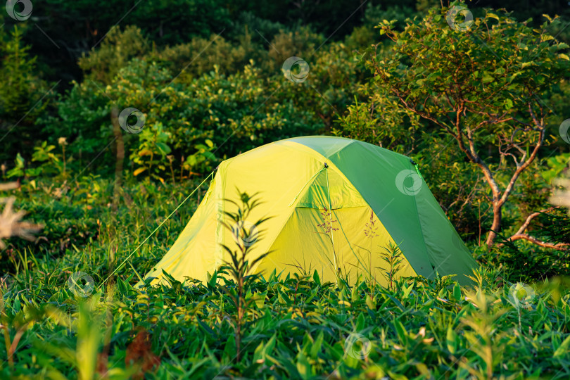 Скачать туристическая палатка среди травы в лучах утреннего солнца фотосток Ozero