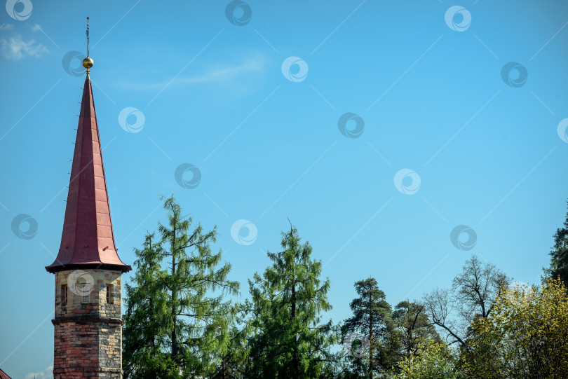 Скачать Высокая башня древнего замка виднеется из-за деревьев на фоне голубого неба фотосток Ozero