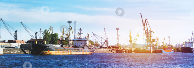 Скачать Россия, Санкт-Петербург, 30 мая 2020 года: панорама морского порта. Краны и корабли. фотосток Ozero