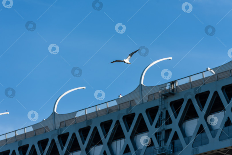 Скачать Россия, Санкт-Петербург, 30 мая 2020 года: Западный скоростной диаметр - главный мост, объездная дорога. Большой фрагмент на фоне голубого неба. фотосток Ozero
