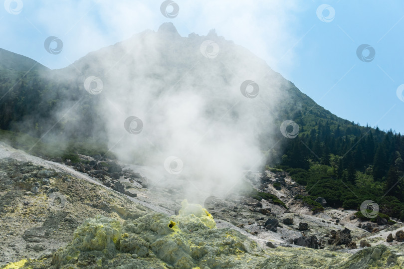 Скачать яркая дымящаяся фумарола с отложениями серы на фоне пика вулкана Менделеева на острове Кунашир фотосток Ozero