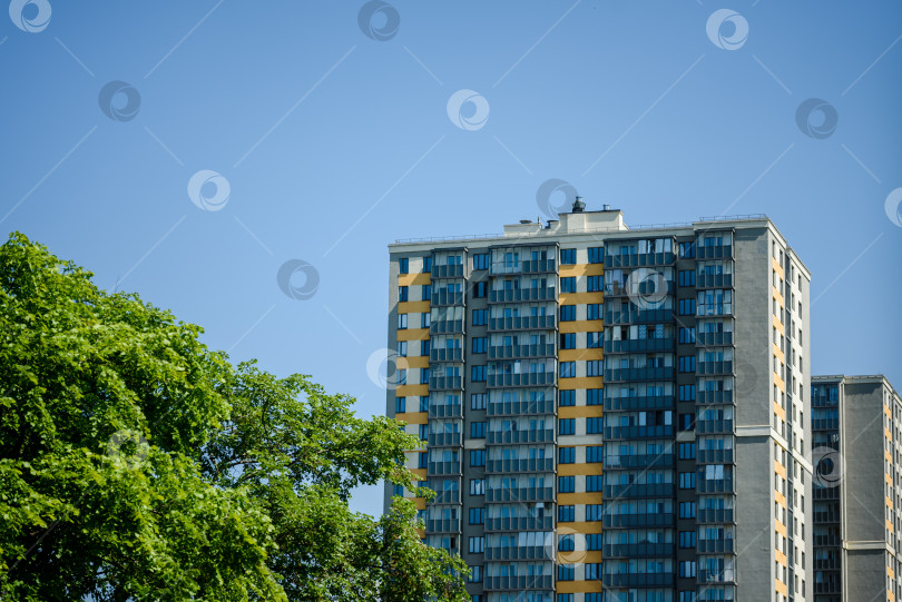 Скачать Высотное здание на фоне голубого неба и зеленых деревьев. Россия, Санкт-Петербург, 23 июня 2020 года: фотосток Ozero