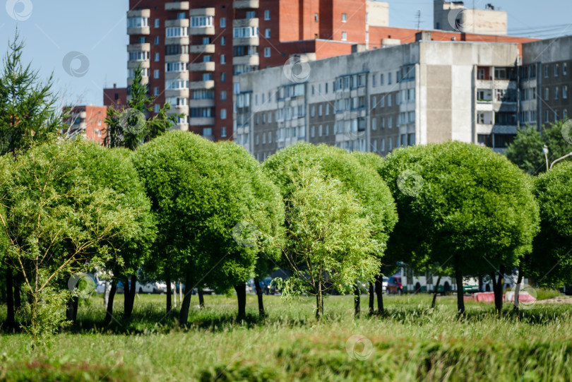Скачать Городские дома и площадь с зелеными деревьями летом фотосток Ozero