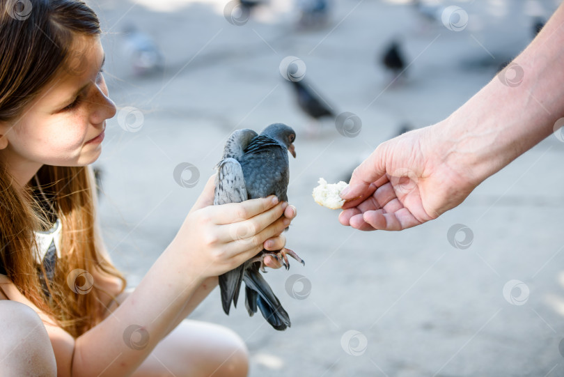 Скачать  Девушка держит в руках голубя. Мужская рука кормит голубя. фотосток Ozero
