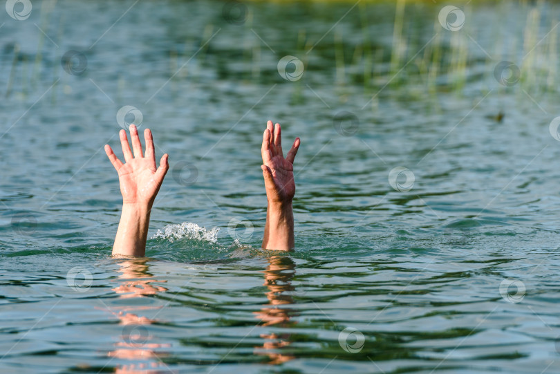 Скачать Руки торчат из воды, изображая тонущего человека фотосток Ozero