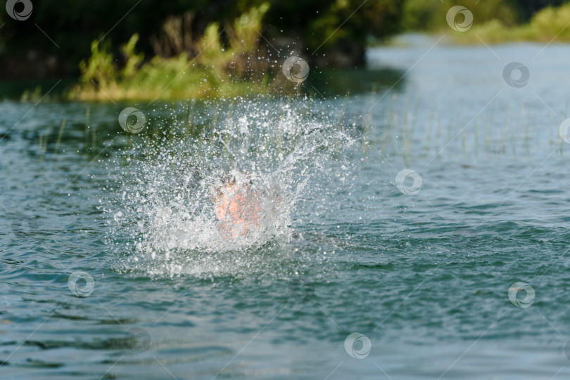 Скачать Брызги от плавающего в озере человека фотосток Ozero