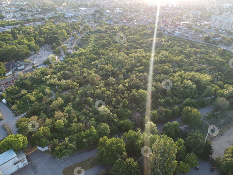 Скачать Лес по среди города фотосток Ozero