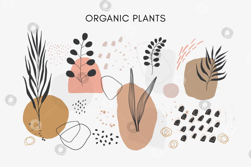 Скачать Набор векторных абстрактных листьев и растений, нарисованных от руки, с текстурами и формами. фотосток Ozero