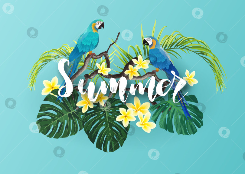 Скачать Тропический летний дизайн с пальмовыми листьями монстеры и перротами фотосток Ozero