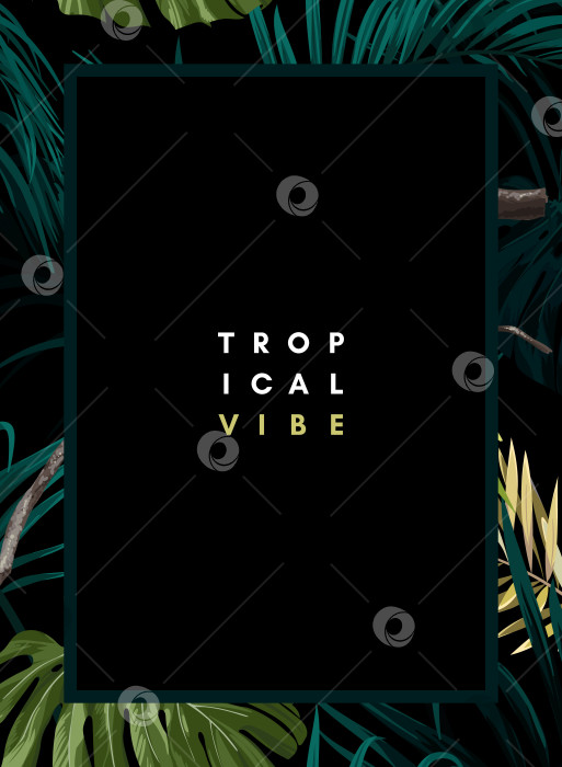 Скачать Темный тропический дизайн с экзотическими листьями монстеры и королевской пальмы, голубыми ара и ветками. Векторная иллюстрация. фотосток Ozero