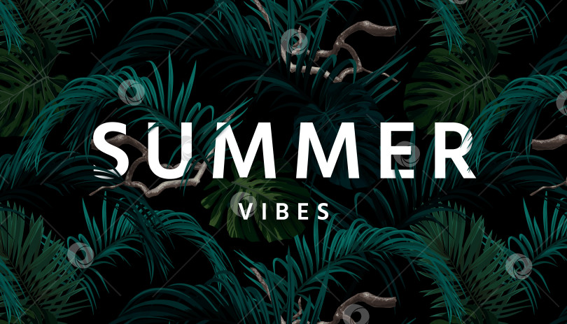 Скачать Летний тропический векторный типографский дизайн с зелеными экзотическими пальмовыми листьями на темном фоне. фотосток Ozero