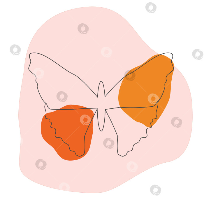 Скачать Силуэт бабочки с розовыми и оранжевыми цветовыми пятнами.Линейное искусство фотосток Ozero