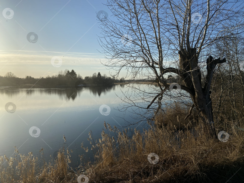 Скачать Вид на красивое гладко озеро фотосток Ozero