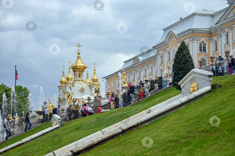 Скачать Петергоф, Россия, 06.06.2023. Вид на фонтаны, золотые купола Петропавловской церкви, Большой Петергофский дворец в Петергофе фотосток Ozero