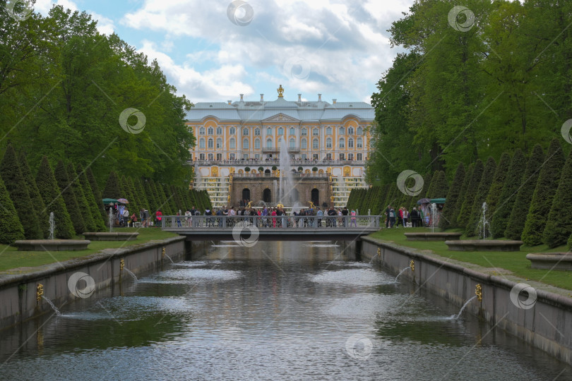 Скачать Петергоф, Санкт-Петербург, Россия, 06.06.2022 год. Вид на Морской канал с аллей фонтанов и Большой дворец в нижнем парке Петергофа. фотосток Ozero